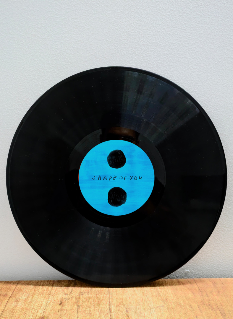 Vinyl Records (Framed)