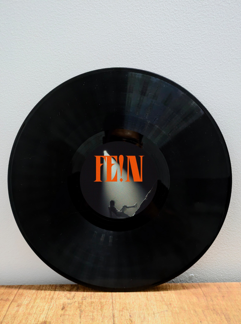 Vinyl Records (Framed)